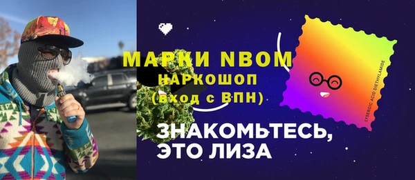 индика Вязники