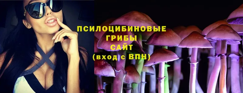 Галлюциногенные грибы Psilocybine cubensis  Мураши 